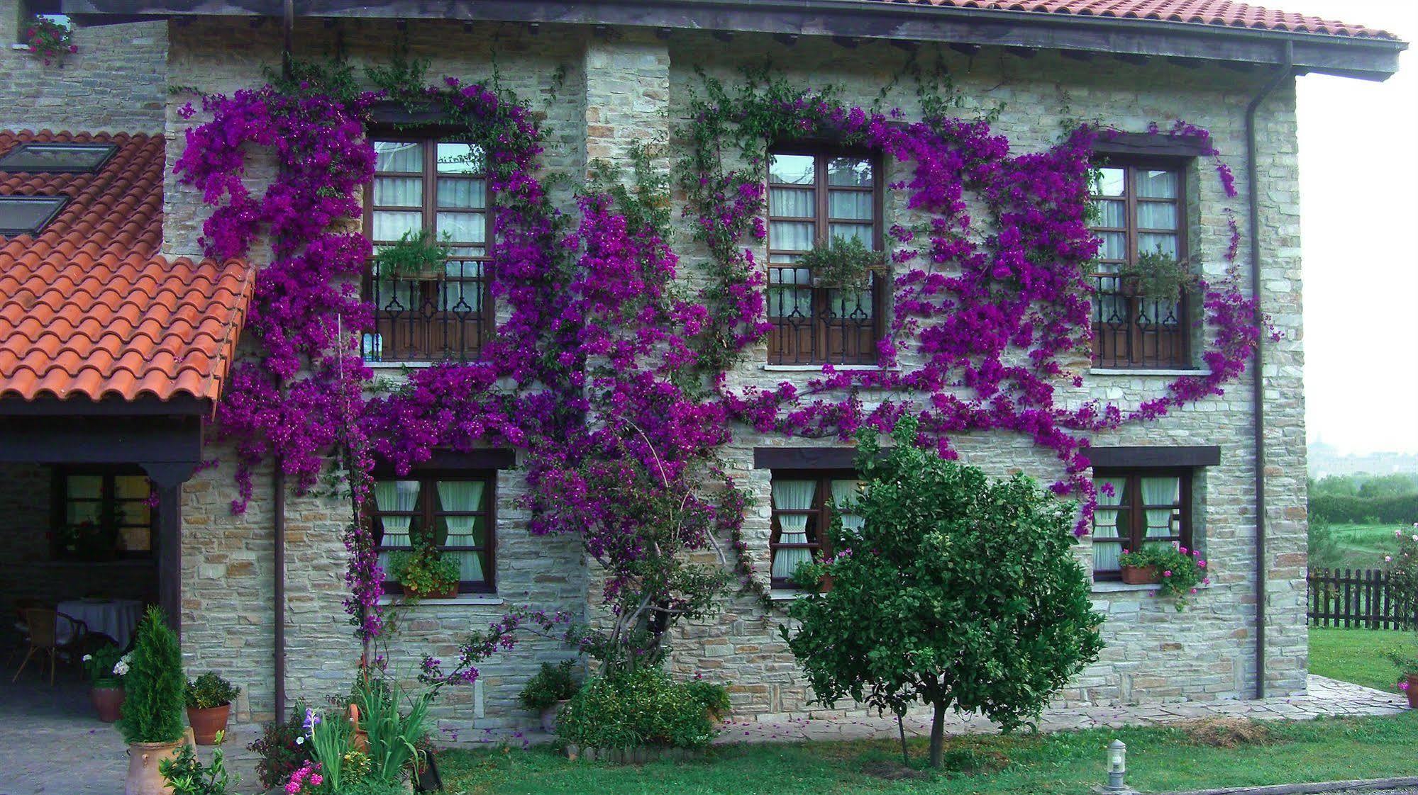 Hotel Rural Casona De Cefontes Exterior foto